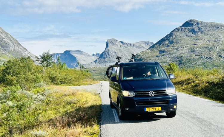 Blaue blitz – Heerlijke originele VW California T5 