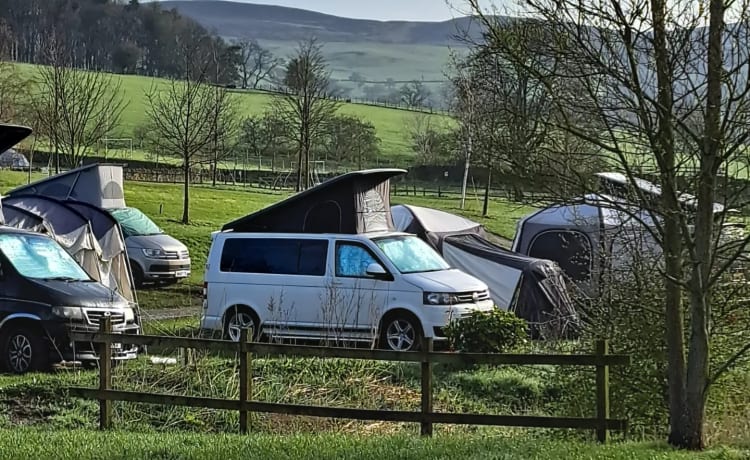 Transporter-Saurus-Rex – Transporter-Saurus-Rex... een 4 persoons Volkswagen campervan uit 2010