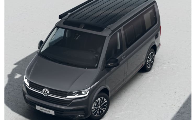 CALI Grey – Volkswagen California OCEAN Vert&Blanc