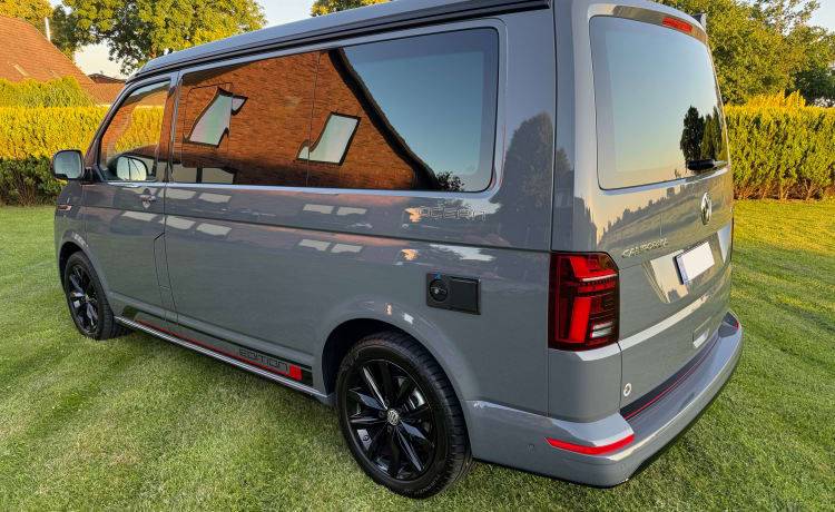 Freiheit auf Rädern – VW T6.1 California 4x4