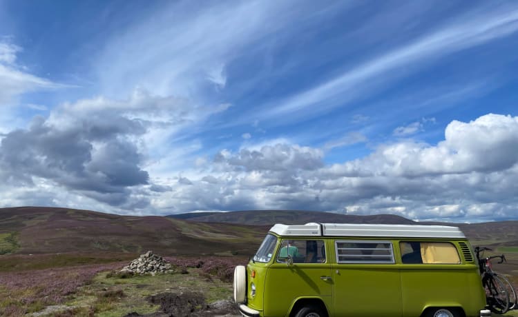 De Groene – Volkswagen T2 uit 1977, perfecte conditie