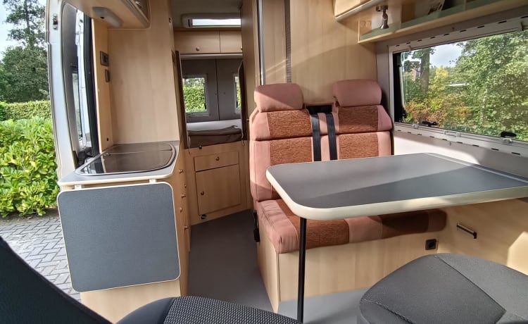 Avanti La Strada – Luxus-Buscamper | 4 Sitzplätze/3 Schlafplätze | Küche/Toilette/Motorradklimaanlage/Fahrradträger