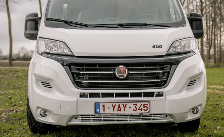 Scogliera 600 (2019) 2 pers