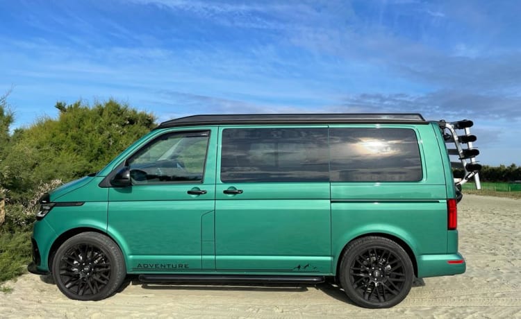 Remi – VW T6.1 Transporter Campervan