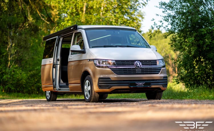 Volkswagen campervan tot 4 personen - Nieuw!