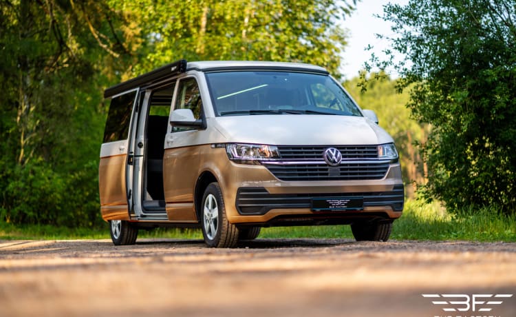 4p Volkswagen campervan from 2022