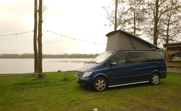 Brulaap – Ontdek de Luxe en Avontuur met onze goed uitgeruste Mercedes Camperbus!