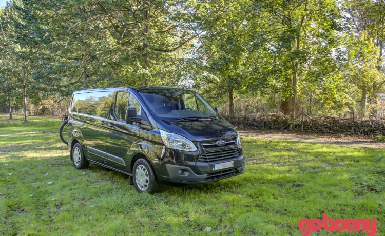 Ford Campervan with large bed & pull-out kitchen