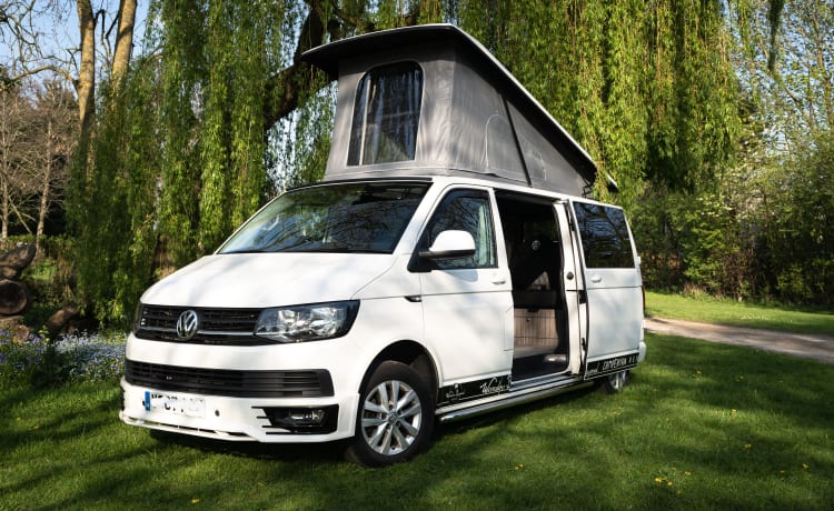 Eleanor  – Volkswagen T6 Highline LWB Wohnmobil