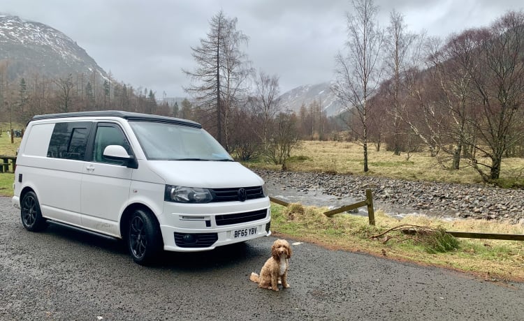 Terri – Dog-Friendly VW T5 Campervan - 4 Berth