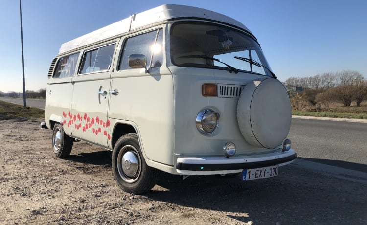 T2B Westy – affittare un camper hippy bus westfalia originale !!