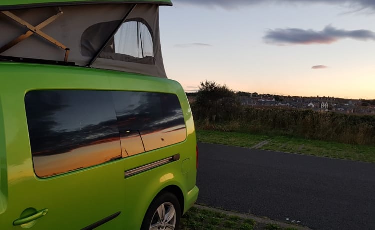 Green  – Minicamper mit 2 Schlafplätzen