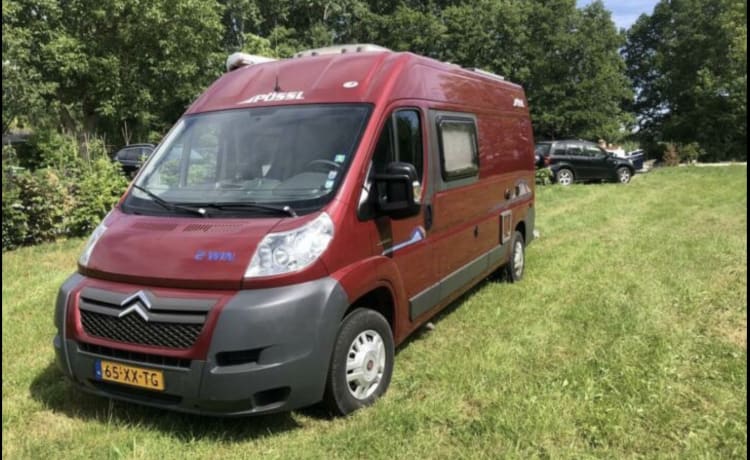 Ruby – Pössl Bus Camper komplett