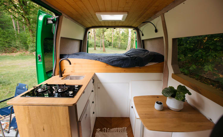 The Green House - Een Luxe zelfvoorzienende, twee persoons Renault Master! 