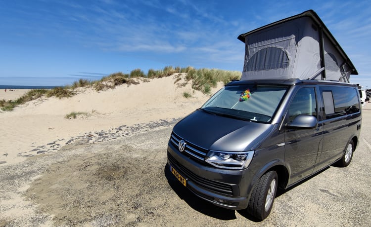 Déesse – VWCalifornia Oceano