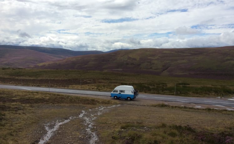 Frenk – Frenk, un bellissimo camper T3 è alla ricerca di compagni di viaggio