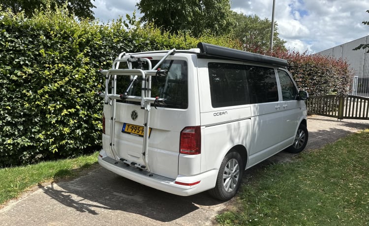 Cali  – Volkswagen California T6 (Fabriekscamper, origineel)