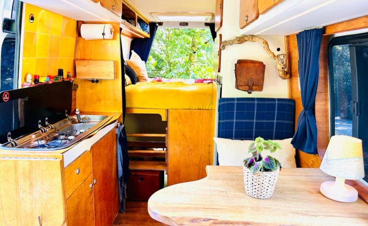 Gustav 🚐🏕️ – Vintage off-grid Sprinter campervan