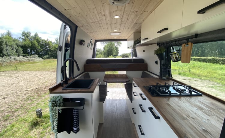 Unique, compact and modern bus camper (self-sufficient)