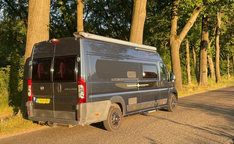 🚐 Bus Camper jeune et spacieux très complet 🚐