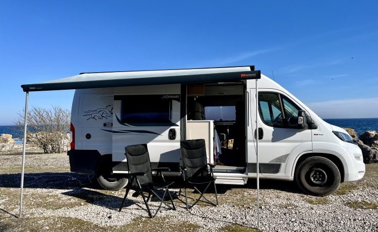 Autobus McLouis 2p à partir de 2020