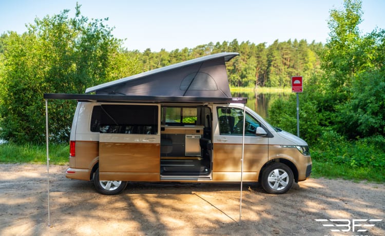 Volkswagen campervan tot 4 personen - Nieuw!