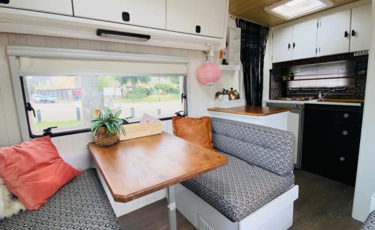 Wilma – Beautifully pimped Fiat Burstner Alcove Camper, 5 pers.