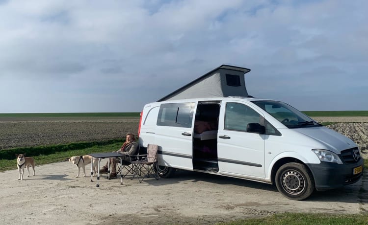 Kobus – 2p Mercedes-Benz campervan from 2011