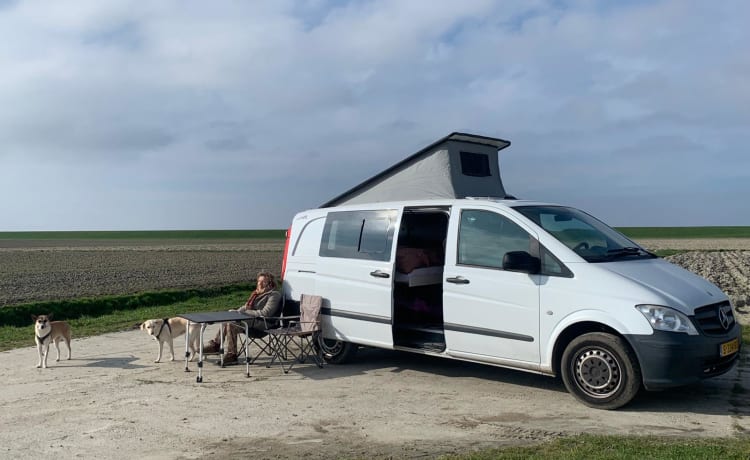 Kobus – 2p Mercedes-Benz camper uit 2011