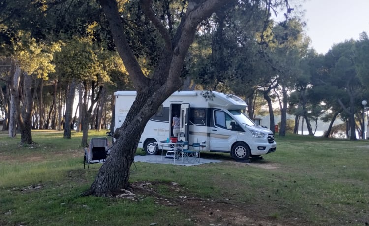 Cocoontje – Ervaar ultieme vrijheid: reis met een camper!