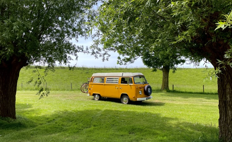 Ga op duurzame roadtrip met Calandria! ⚡️🚐 – 100% Electric! ⚡️ VW T2 "Calandria"