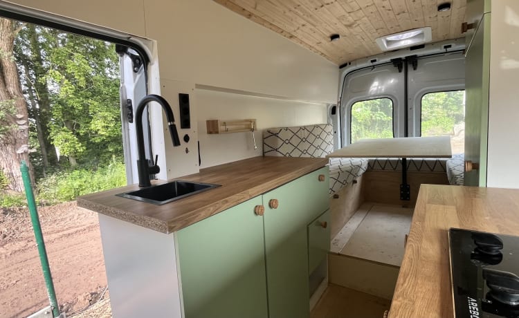 Poppy – Ford Campervan (2019) 2p + huisdier