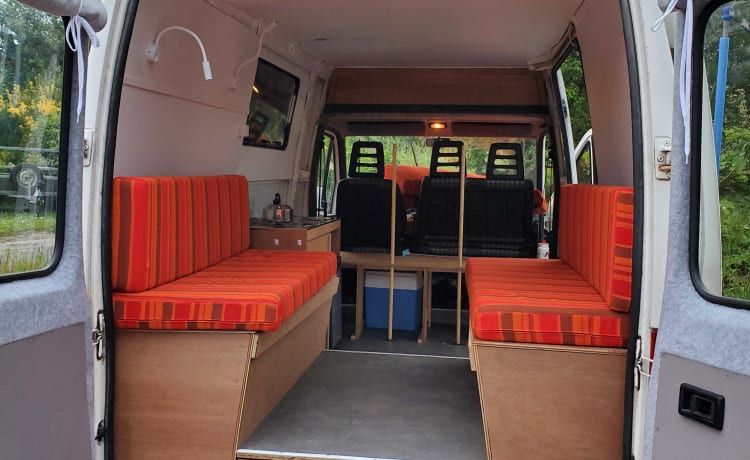 Retro Ronnie – Cozy and spacious (family) bus camper