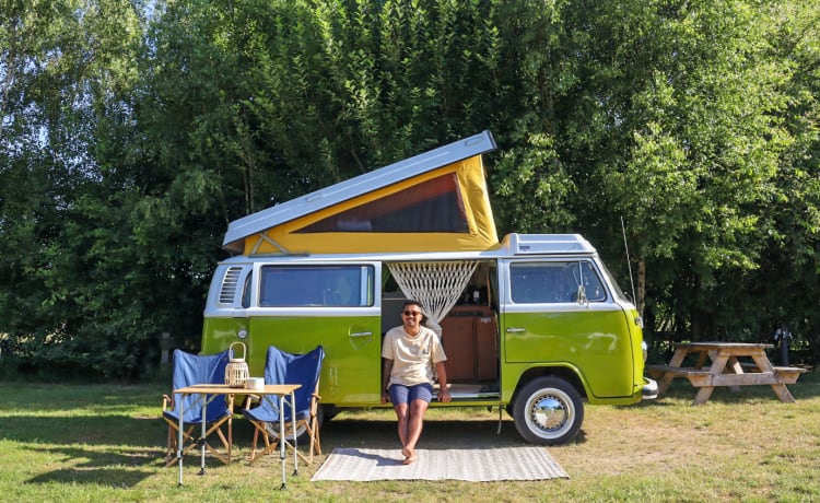 Sanseveria – Volkswagen T2b Westfalia Berlin '77