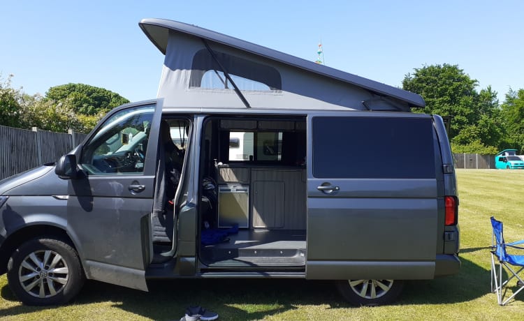 EsteVan – 4 berth Volkswagen bus from 2017