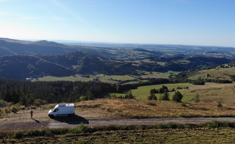 Converted bus - Renault Master 2010