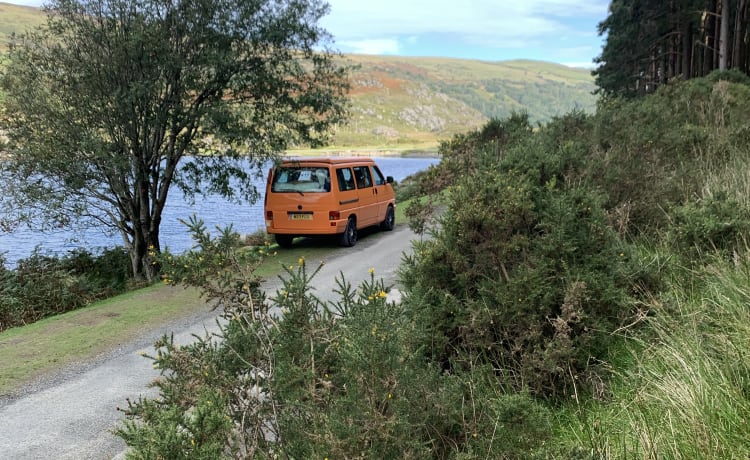 Autumn – Herfst de VW T4 Campervan