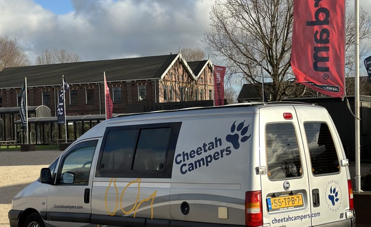 Cheetah – Cheetah 2 person Fiat Scudo bus camper