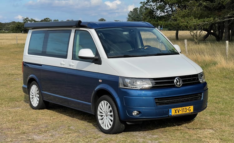 VW California originale