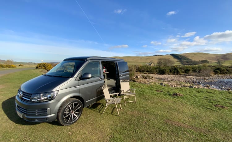 Une fourgonnette avec vue - Conversion VW T6 2019