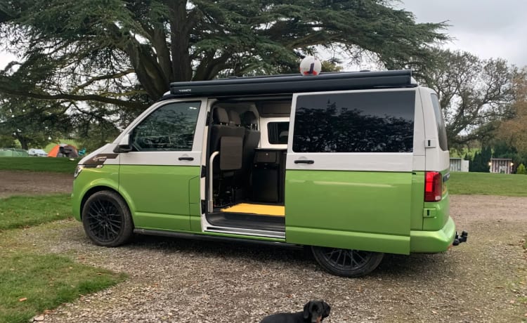 Scooby – 2020 T6.1 VW Wohnmobil