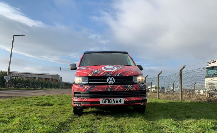 Tartan VW Campervan