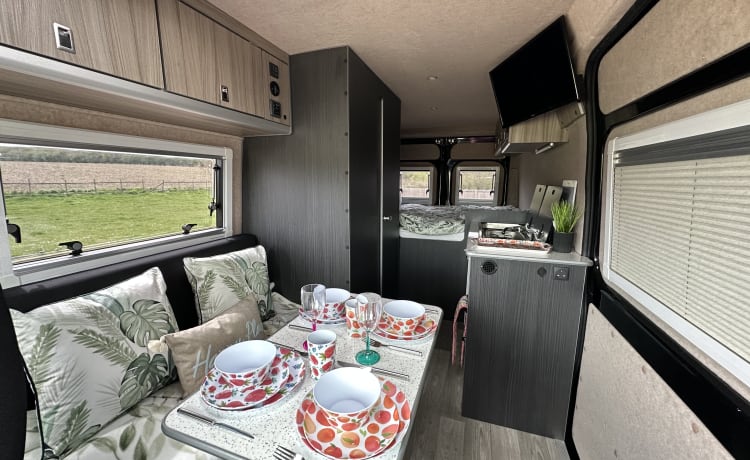 4 Berth Fiat Ducato Campervan