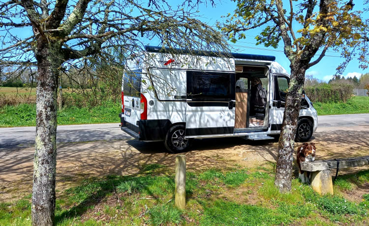 "Sjoppie " – Luxe Camper Van  te huur: Malibu 600 LE