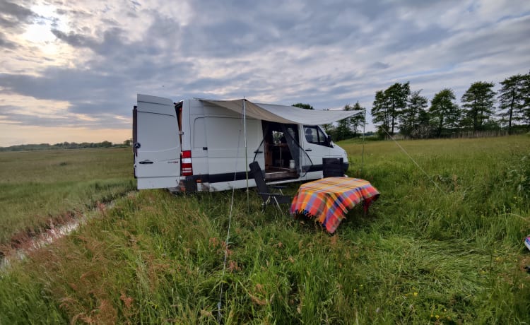 Sfeervolle Mercedes-Benz buscamper 2 persoons "Mijn Benz" 