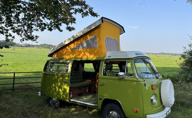 Joyo – Direct het gevoel van vrijheid en vakantie! 4p Volkswagen T2 uit 1976 