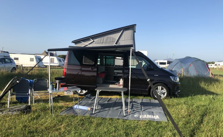 VW California Ocean Campervan