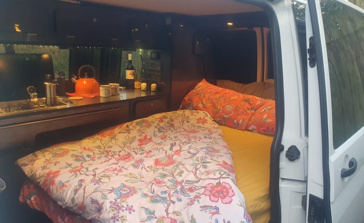 STEFAN – 4 berth Volkswagen campervan from 2018