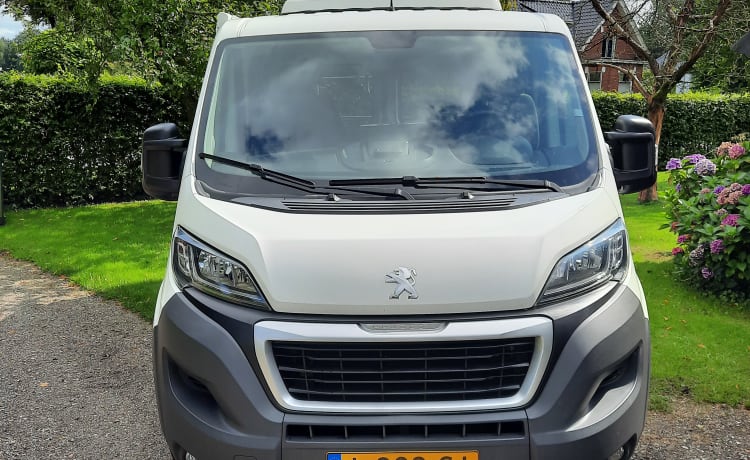 Peugeot boxer with fixed bed and large lifting roof