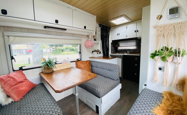 Wilma – Beautifully pimped Fiat Burstner Alcove Camper, 5 pers.